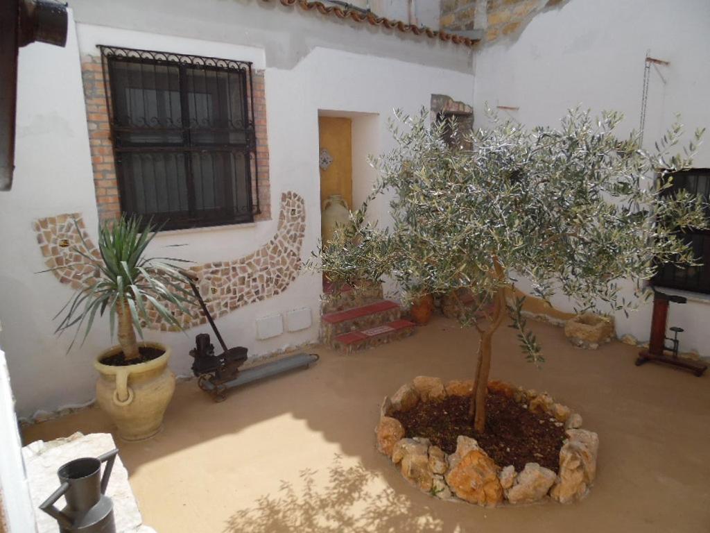 Villa Casa Degli Ulivi 21 à Castellammare del Golfo Extérieur photo